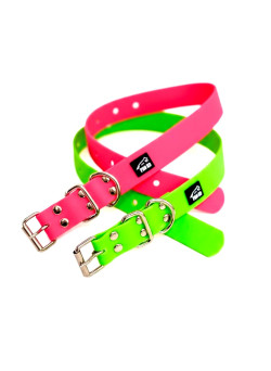 collars pink and green