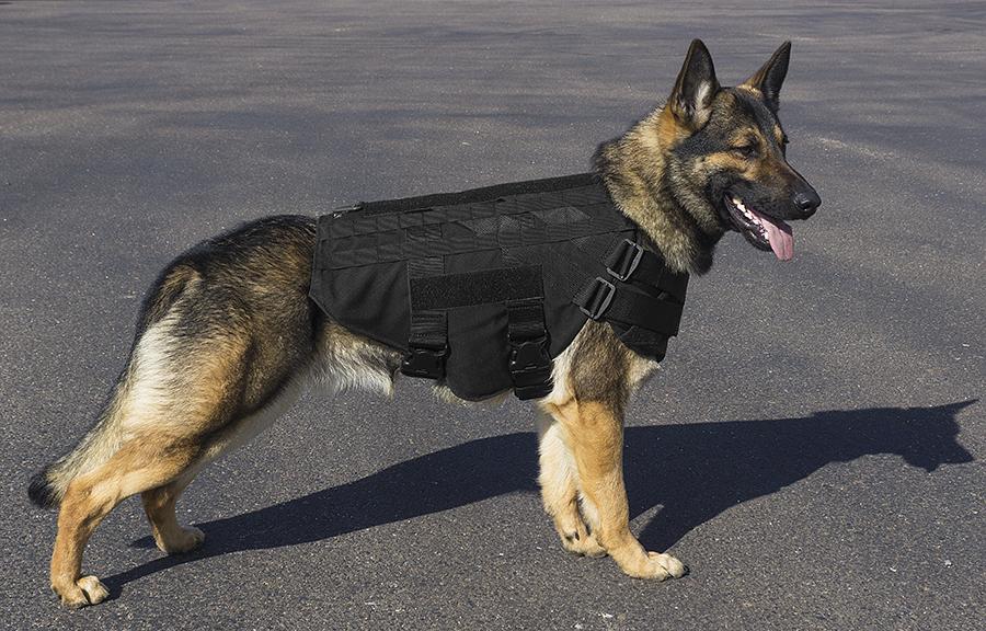 K9 Dog Training Equipment K9 Tactical Gear Buy CaliberDog K9 