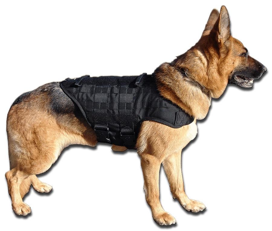K9 Dog Training Equipment | K9 Tactical Gear | Buy Black CaliberDog K9 ...