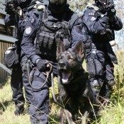 020 dog attack training equipment