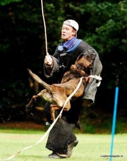 003 dog workout equipment