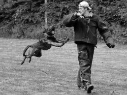 007 dog obedience training equipment