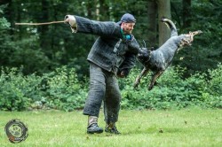 014 dog trainer equipment