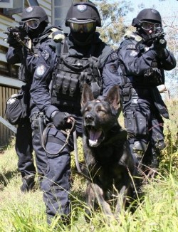 020 dog attack training equipment