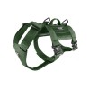 tracking harness green