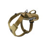 patrol coy