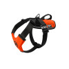 patrol sar black binding