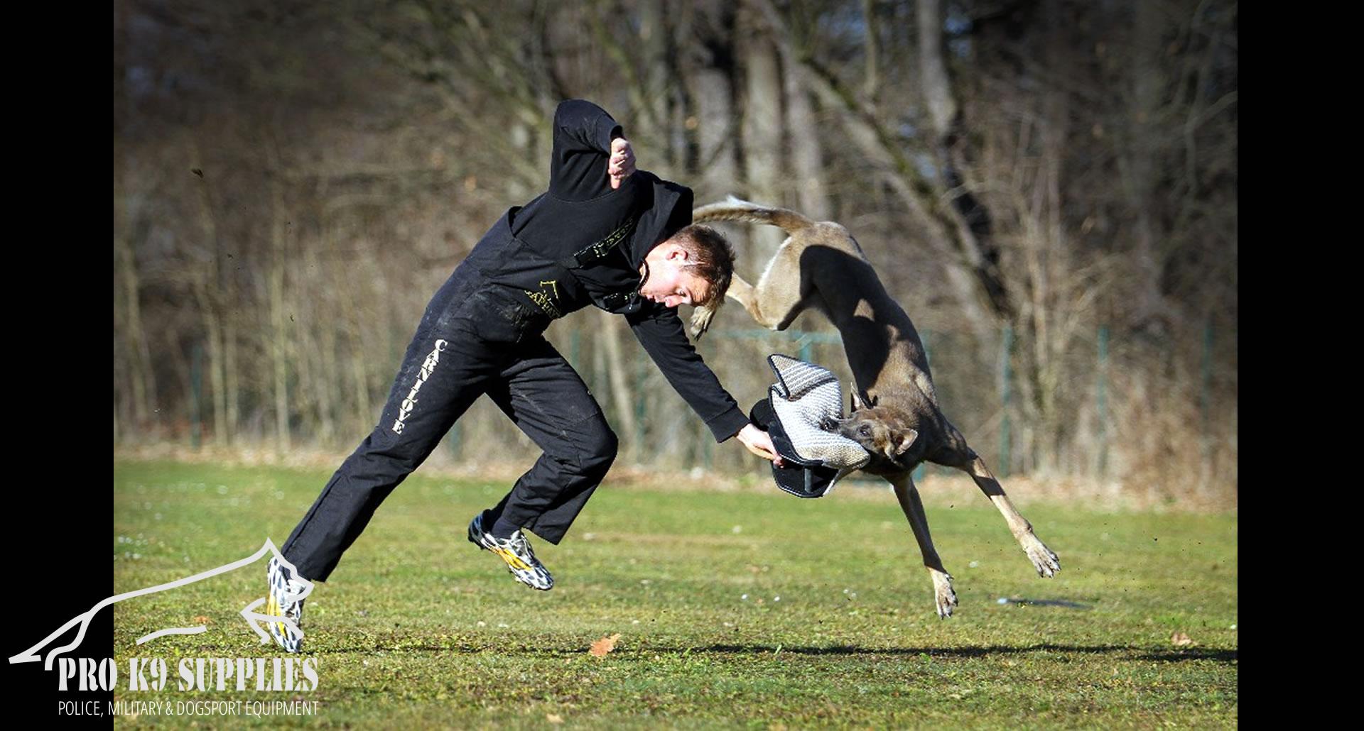 police-k9-equipment