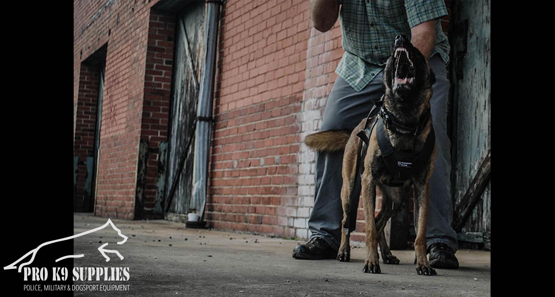 k9-training-equipment