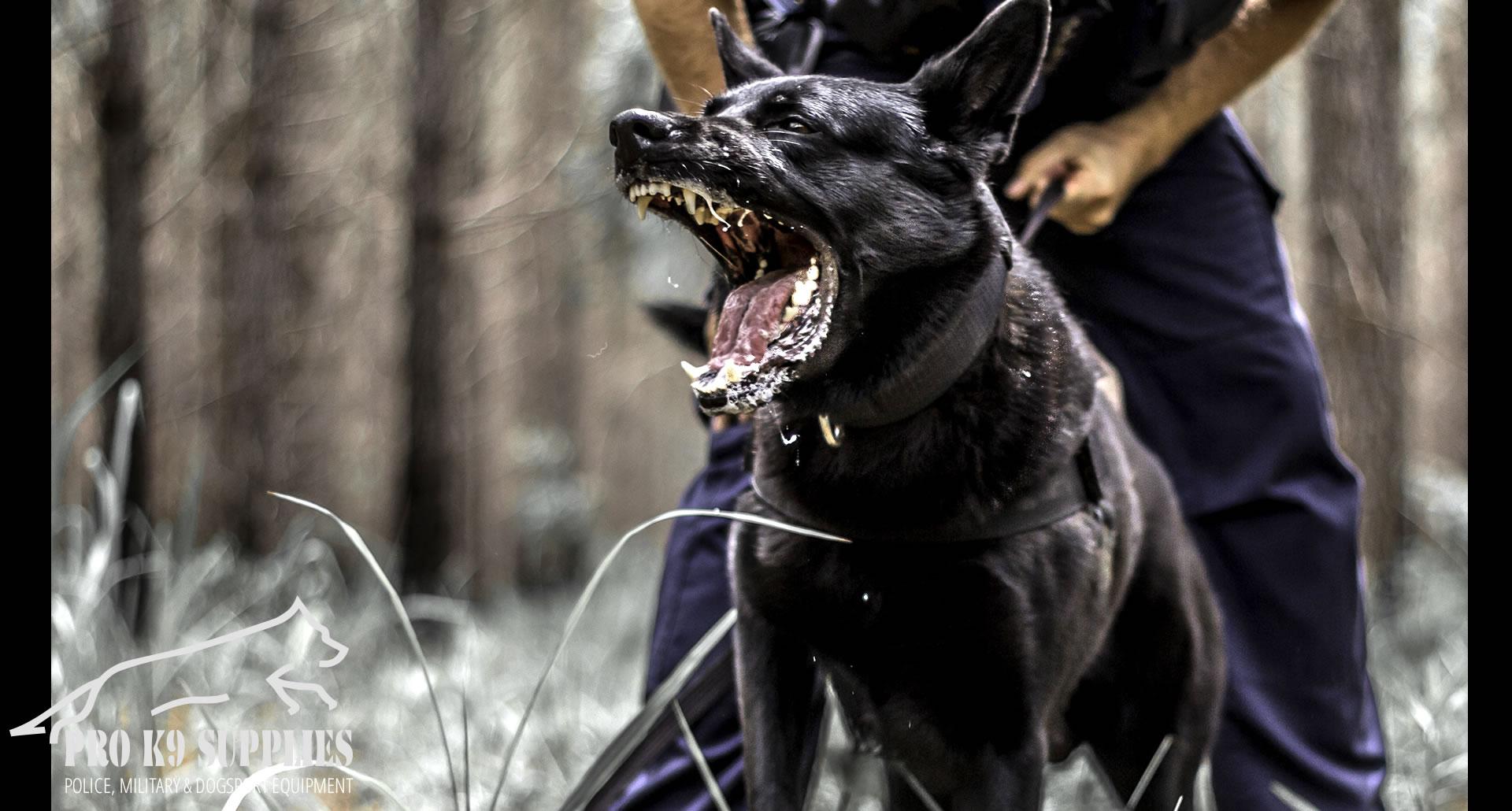 k9-equipment-for-sale