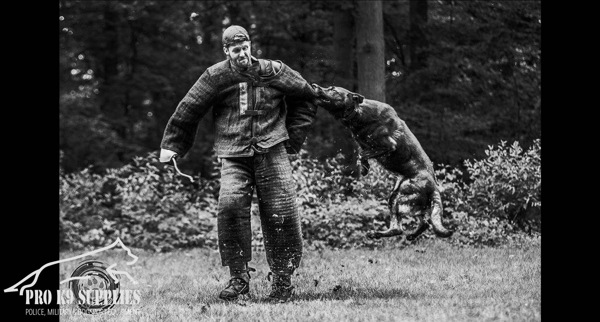 k9-supplies-and-equipment