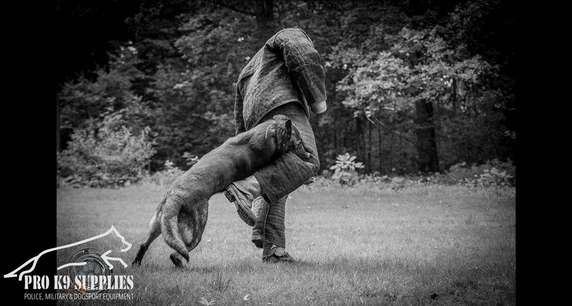 working-dog-equipment