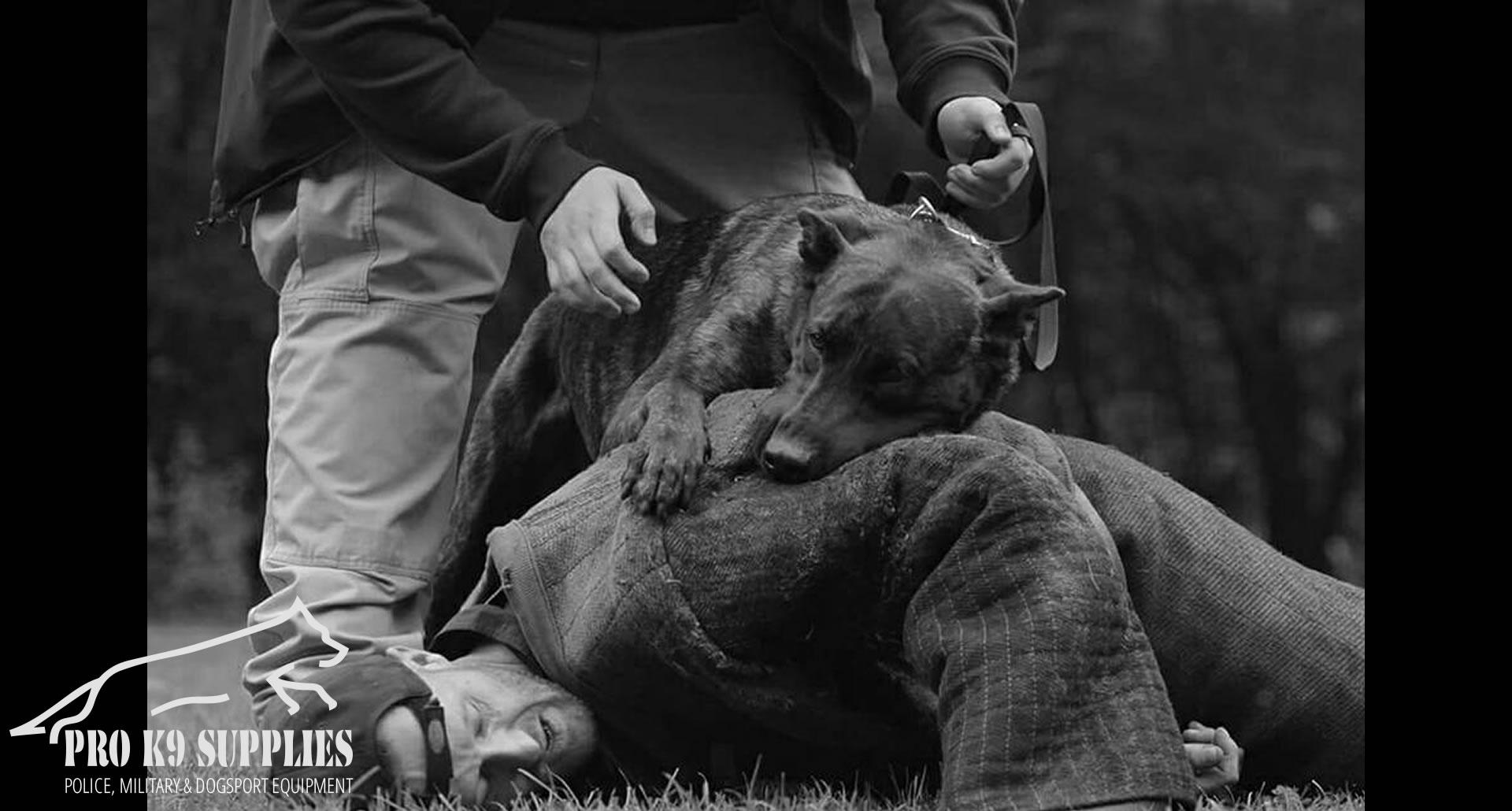 service-dog-harness-equipment