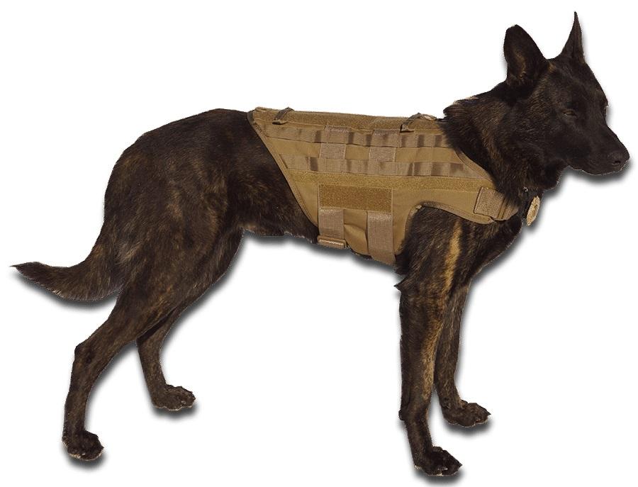 K9 Dog Training Equipment | K9 Tactical Gear | Buy Coyote Brown ...
