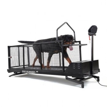 Dog Runner Treadmill XL