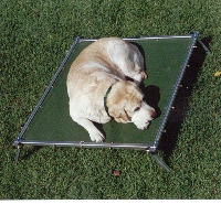 Rectangular Trampoline Dog Bed