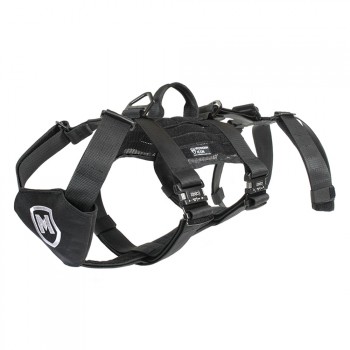 Modern Icon Rappelling Harness