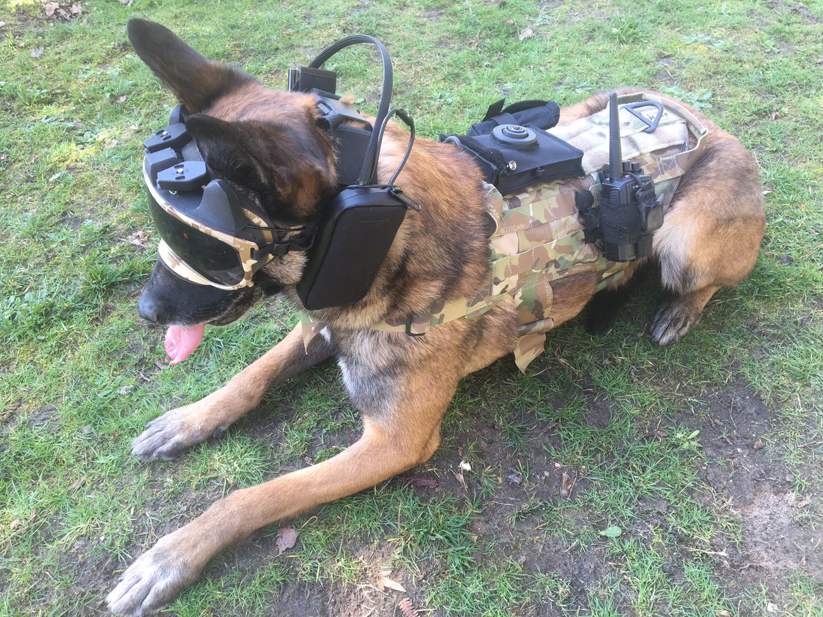 Military and Police K9 Tactical Gear