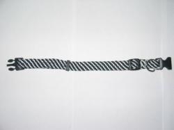 Puppy Collar