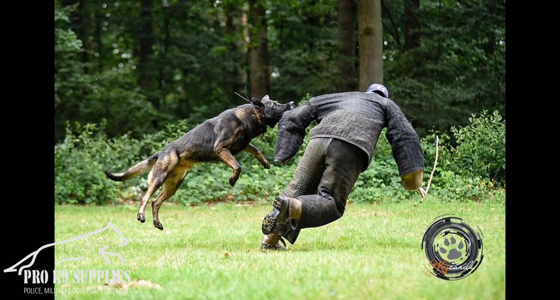 police-k9-products