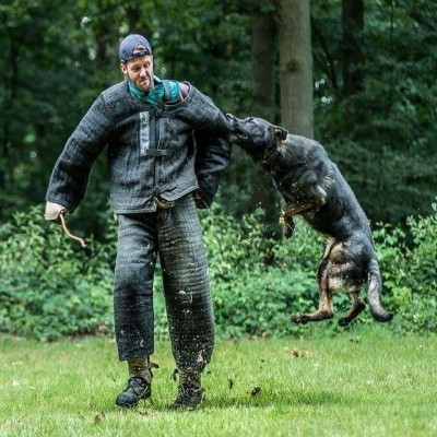 Professional K9 Attack Dog Training Gear & Equipment