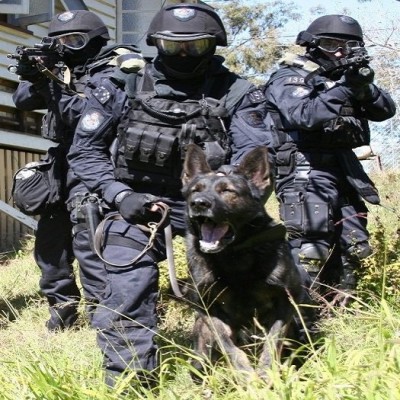 Tactical Service Dog Gear, Service Dog Training Equipment